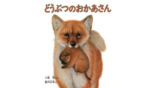 どうぶつのおかあさん